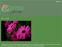 Tablet Screenshot of eurosa.bc.ca
